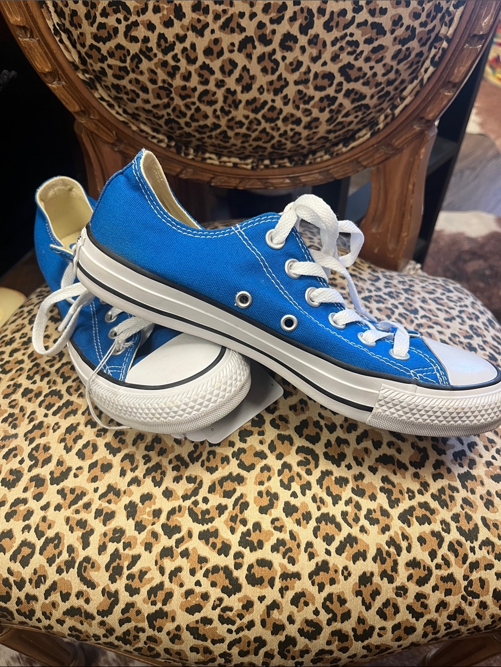 Converse Kids Low Top Sneakers in Bright Blue with White Accents